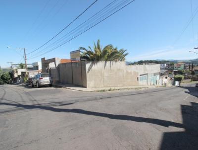 Comercial para Venda, em Muriaé, bairro São Gottardo